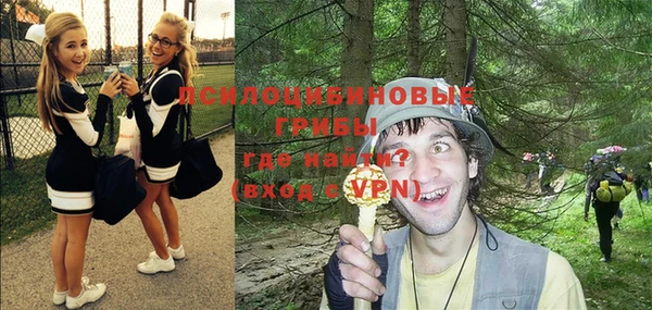 прущая мука Вязники