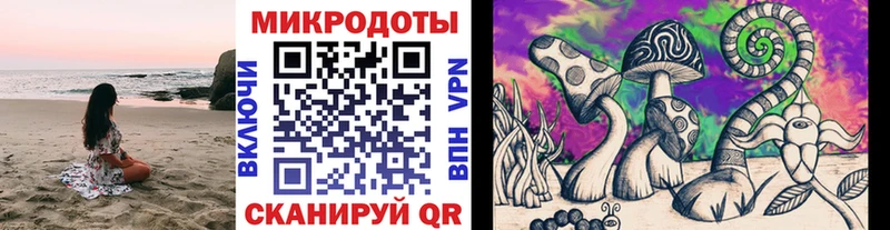 Галлюциногенные грибы Cubensis  хочу наркоту  Зубцов 